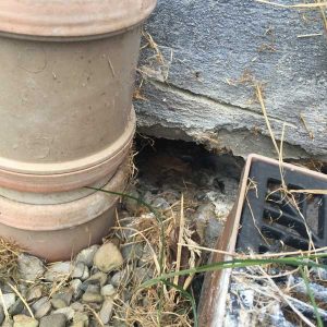 Hole under rear of house - perfect entrance for rats and other vermin to enter the house.
